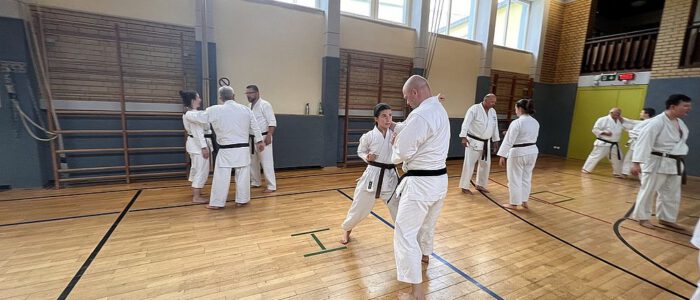IMG_0010
